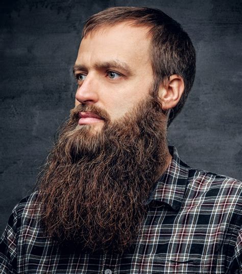 Long Beard Hair Style