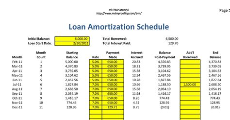 Long Term Loan Amortization