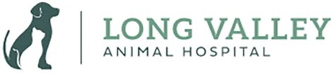 Long Valley Animal Hospital: Providing Comprehensive and Compassionate Pet Care Services