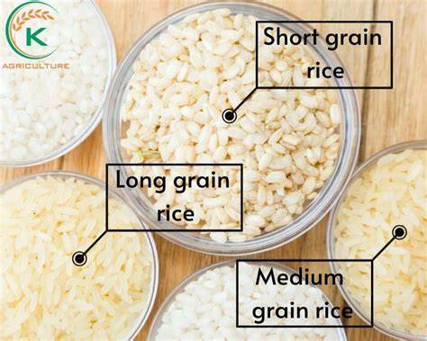 Long-Grain Rice