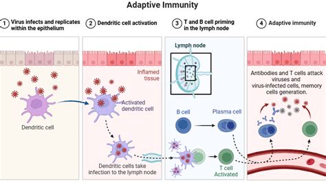 Long-Term Defense: Preventing Reinfestation