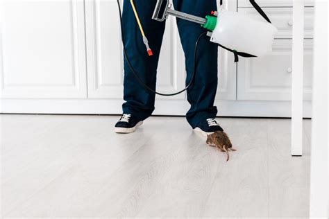Long-Term Defense Preventing the Next Infestation