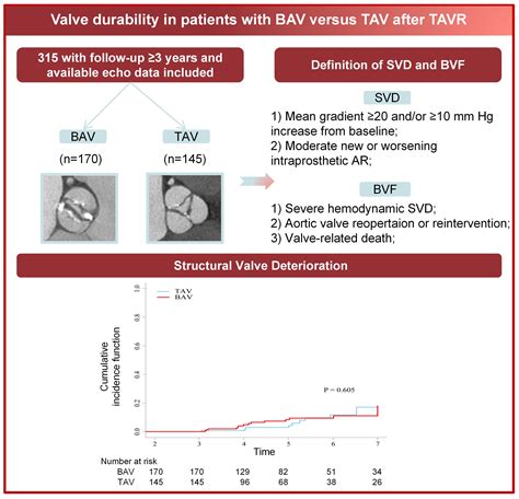 Long-Term Durability