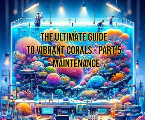 Long-Term Maintenance: Keeping Your Red Vibrant