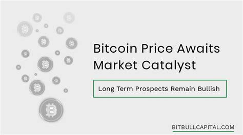 Long-term Prospects for Bitcoin Cash