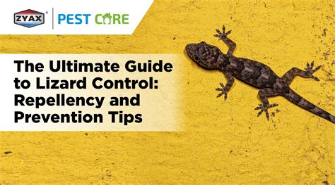 Long-Term Strategies for Lizard Prevention