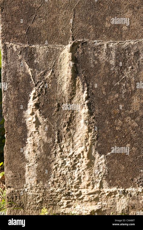 Long-Term Structural Damage