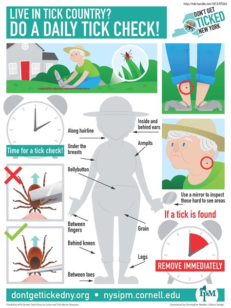Long-Term Tick Prevention Strategies