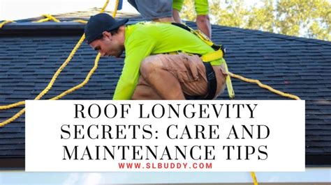 Longevity Secrets: Care and Maintenance Tips