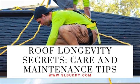 Longevity Secrets: Proper Maintenance