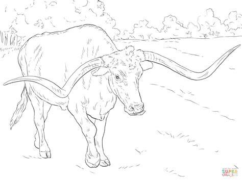 Longhorn Coloring Page