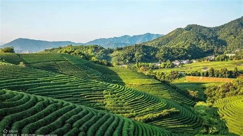 Longjing tour package