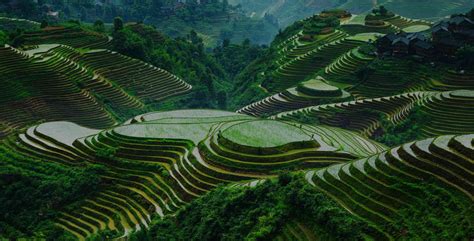 Longsheng Rice Terraces