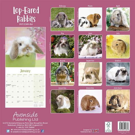 Lop Eared Rabbit Calendar