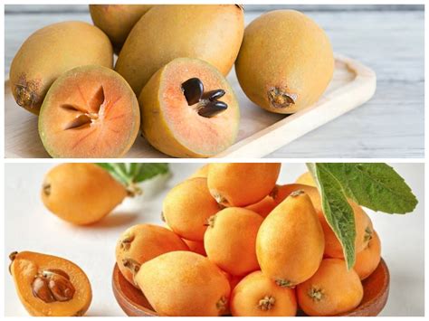 Loquat: Nutrisi & Manfaat untuk Kesehatan Anda