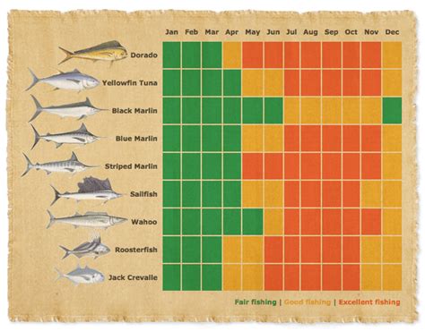 Loreto Fishing Calendar