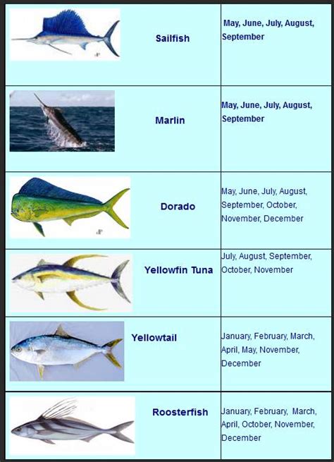 Loreto Mexico Fishing Calendar