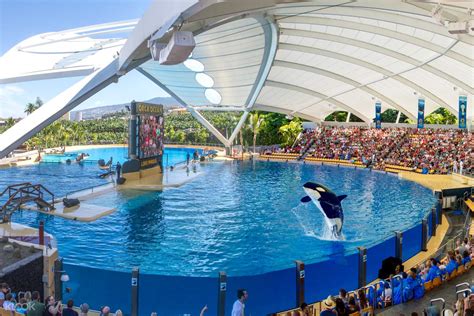 Loro Parque Ticket Options