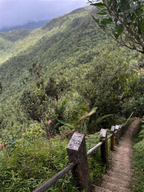 Los Picachos Trail View