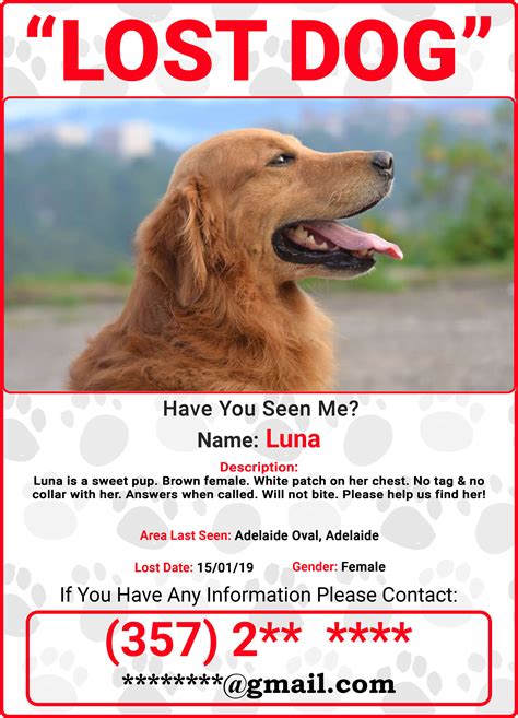 Lost Dog How To Find