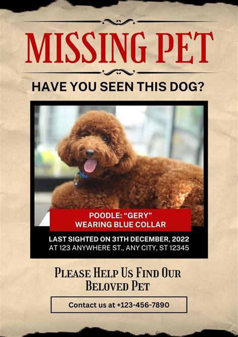 Lost dog The Meta Picture