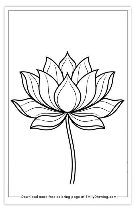 Lotus Flower Coloring Page