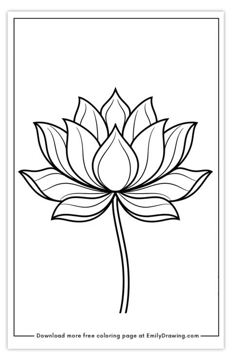 Lotus Flower Coloring Pages