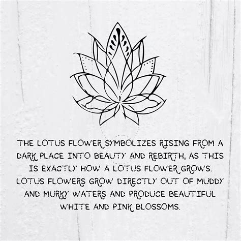 Lotus Flower Tattoo Meaning