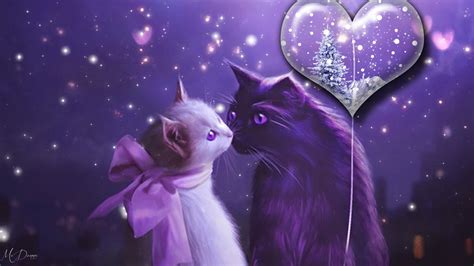 Love Cat with Stars HD Wallpaper