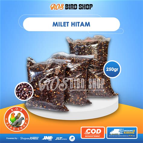 Love Bird Hitam