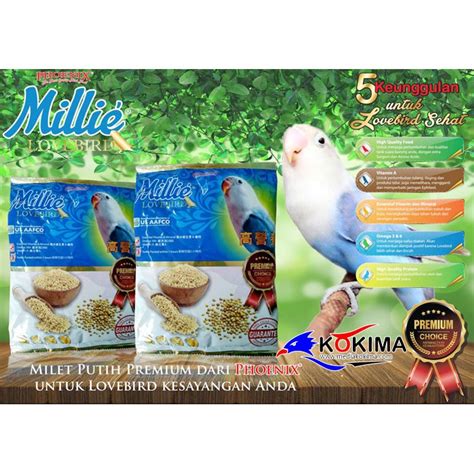 Love Bird Putih