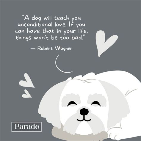 Love For Pets Quotes