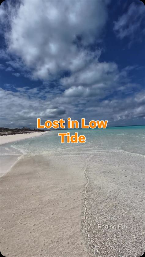 Low Tide Experience