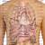 Lower Back Anatomy Organs