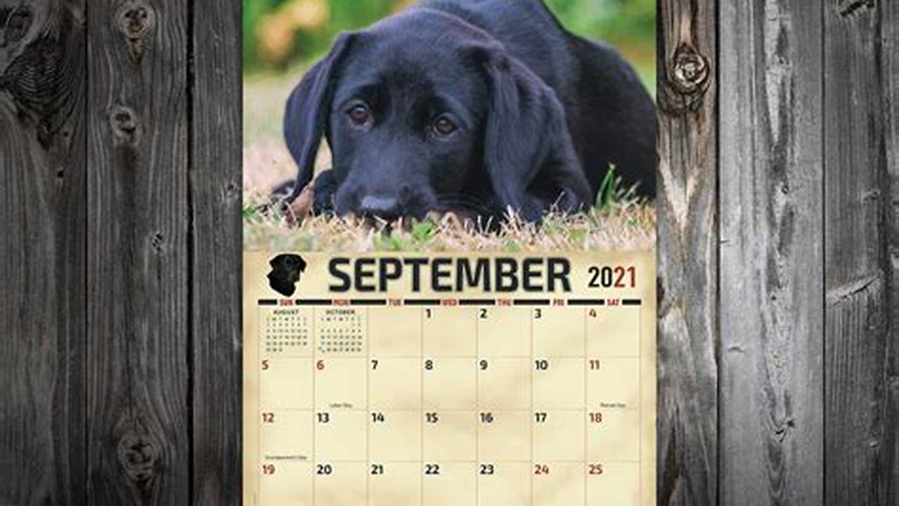Lower Lab Calendar
