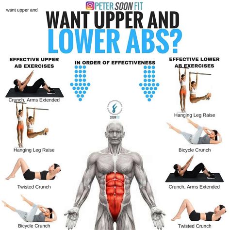 Lower Abs