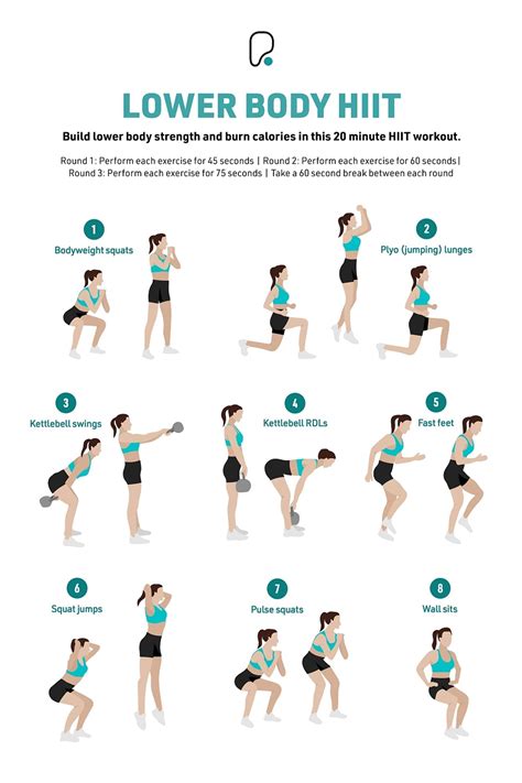 Lower Body Workouts