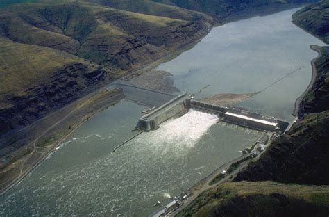 Lower Granite Dam and Salmon
