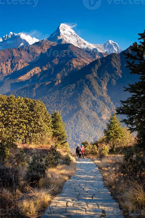 Lower View Point Nepal