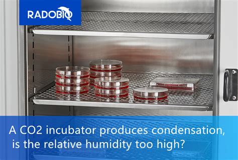 Lowering Humidity in an Incubator