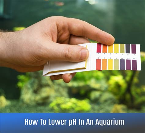 Lowering pH in Fish Tank