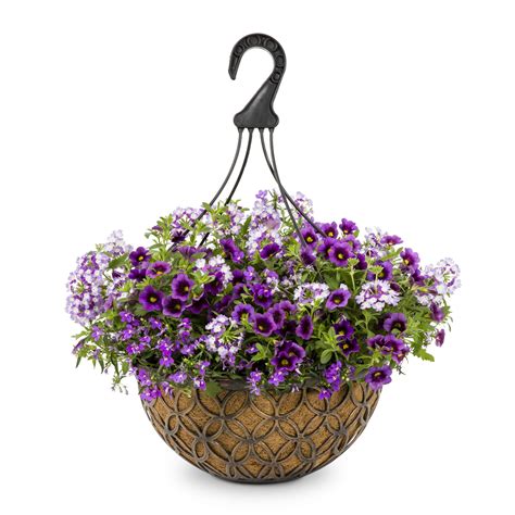 Lowe’s 4th of July Sale 5 Hanging Baskets! Bec's Bargains