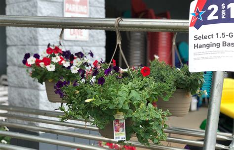Lowes  Hanging Baskets: The Best Deal For Garden Enthusiasts In 2023