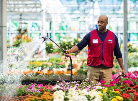 Lowes In My Area