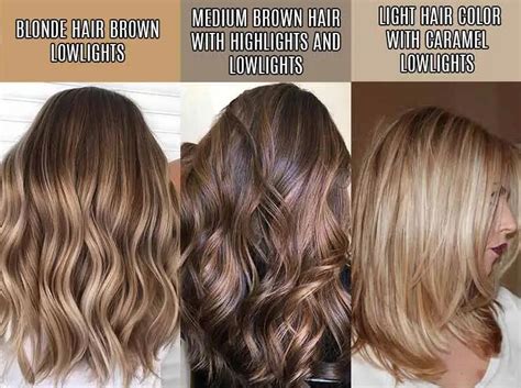 Lowlights vs. Highlights: Understanding the Dimensional Difference