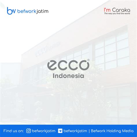 Lowongan Ecco