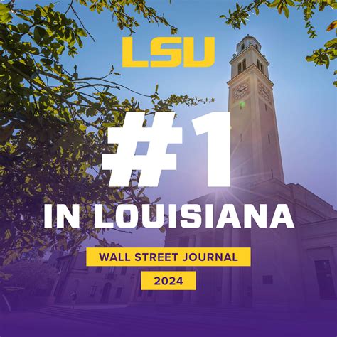 Lsu Fall 2024 Course Offerings