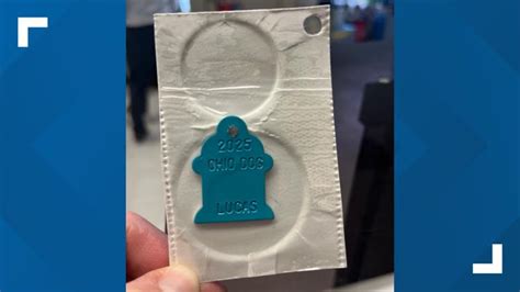 Lucas County Ohio Dog License