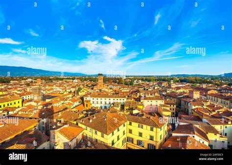 Lucca City View