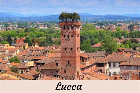 Lucca Families